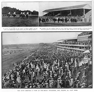 Horserace: Racing at Ascot