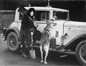 Petre: The racing driver Mildred Mary Petre
