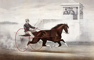 Viewers: Racing Horse and Driver