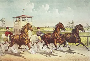 Buggies: Racing Horse and Drivers