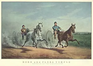 Breakneck: Racing Horses and Drivers