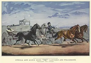 Fiercely: Racing Horses and Drivers