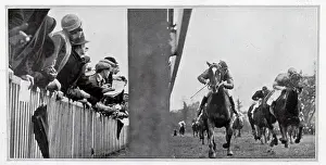 Kempton: Racing at Kempton Park