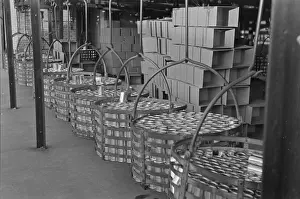 Canned: Racks full of canned peas on way to labeling room and wareho