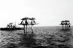 Seabirds: Radar reflectors on Knechtsand