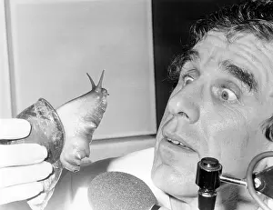 Slimy: Radio presenter with giant snail