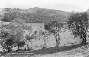 Radnorshire: Radnor Hills and Forest
