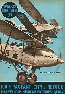 Harts: RAF Pageant -- Hawker Harts in action