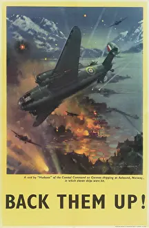 Hudsons: RAF Poster, Back Them Up! WW2
