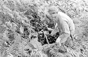 Concealing: RAF Survival School, Plymouth