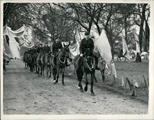 Accustomed: RAF volunteers training horses for Coronation, Hyde Park