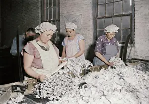 Recycling: Rag sorting at the American Writing Paper Co. 1936