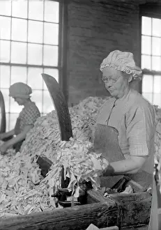 Recycling: Rag sorting at the American Writing Paper Co. 1936
