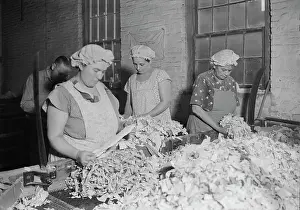 Recycling: Rag sorting at the American Writing Paper Co. 1936
