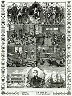 Chichester: Ragamuffins: And how to train them 1869