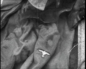 Supposedly: The Rags Supposedly From the Corpse Of Fuhrer