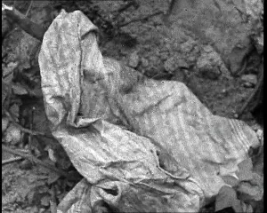 Supposedly: The Rags Supposedly From the Corpse Of Fuhrer