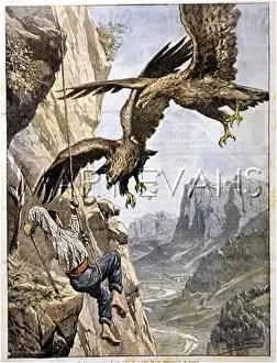 Disapprove: RAID ON EAGLE'S NEST