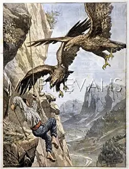 Disapprove: RAIDING EAGLE'S NEST