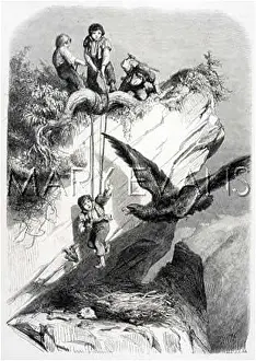 Indignation: RAIDING EAGLE'S NEST