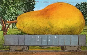 Oversize: Rail car transporting a giant pear