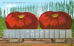 Oversize: Rail car transporting giant tomatoes