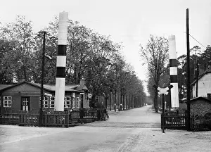 Tree Lined: Railroad crossing, 1937
