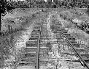 Unused: Railroad track - freight - transportation - Florida