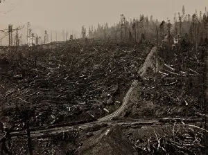 Lcgr2001: Railroad tracks run through clear cut with
