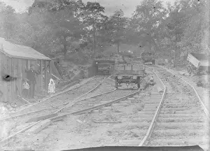 Barnehurst: Railway at Barnehurst Woods
