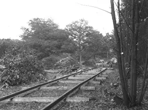Barnehurst: Railway in Barnehurst woods
