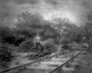 Barnehurst: Railway in Barnehurst woods