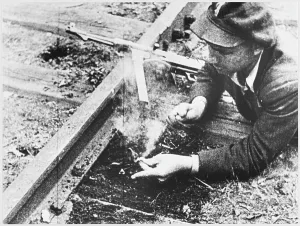 Fuse: RAILWAY FUSE