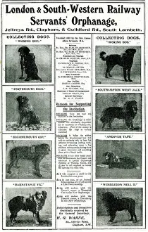 Lambeth: Railway Orphanage Charity Collecting Dogs