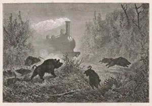 Plowing: RAILWAYS AND WILD BOAR