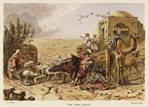 Dromedary: RAIN CLOUD IN DESERT