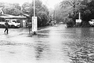 Downpour: Rain in Kyoto, Japan