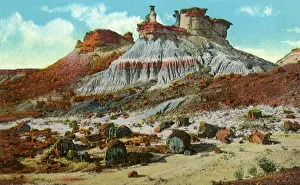 Profusion: Rainbow Canyon