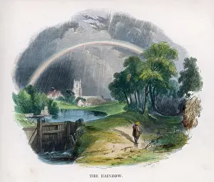 Rainbows: RAINBOW/J.W.WHIMPER