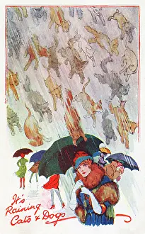 Downpour: Raining Cats and Dogs!