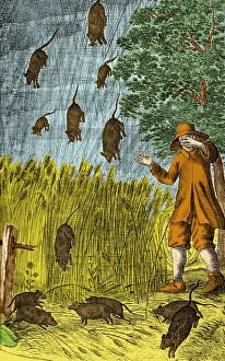 Intense: Raining Rats, 1680