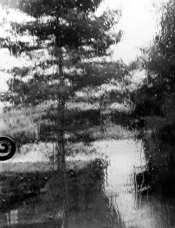 Raindrops: RAINY DAY