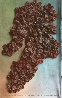 Raisins: Raisin Industry, California, US