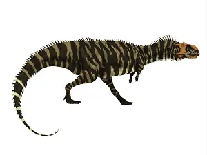 Markings: Rajasaurus dinosaur, side profile