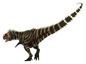 Ceratosaur: Rajasaurus dinosaur on white background