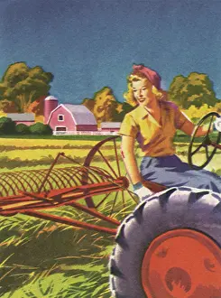 Raking: Raking Hay