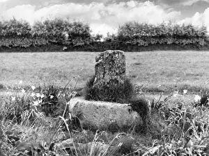 Brendon: RALEIGH'S CROSS