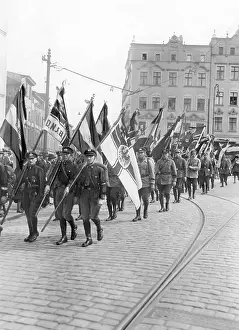 Dnvp: Rally of the DNVP, 1931