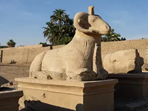 Dromos: Ram headed sphinx, Karnak Temple, Thebes, Luxor, Egypt