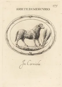 Roman God: Ram of the Roman god Mercury